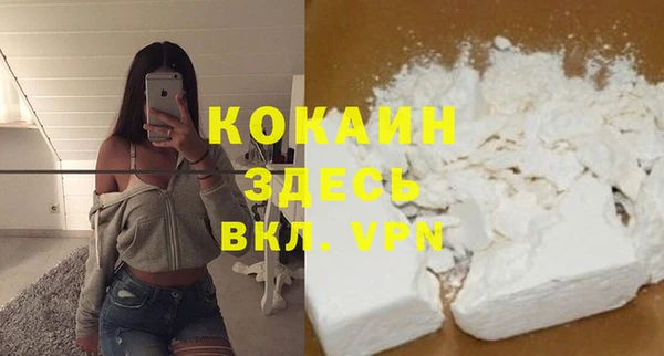 индика Алзамай