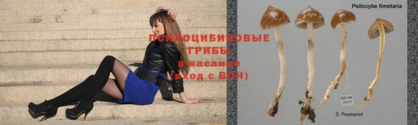 меф Алексин