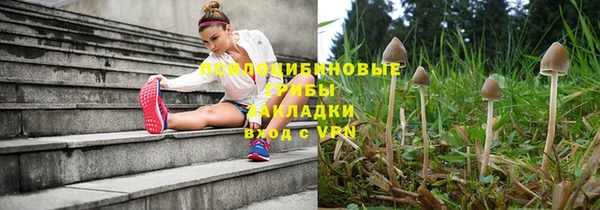прущий лед Алексеевка