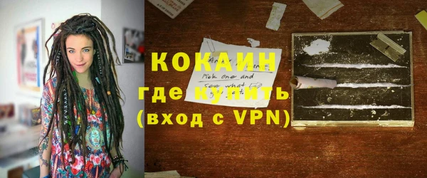 индика Алзамай