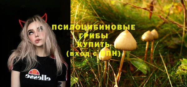 индика Алзамай